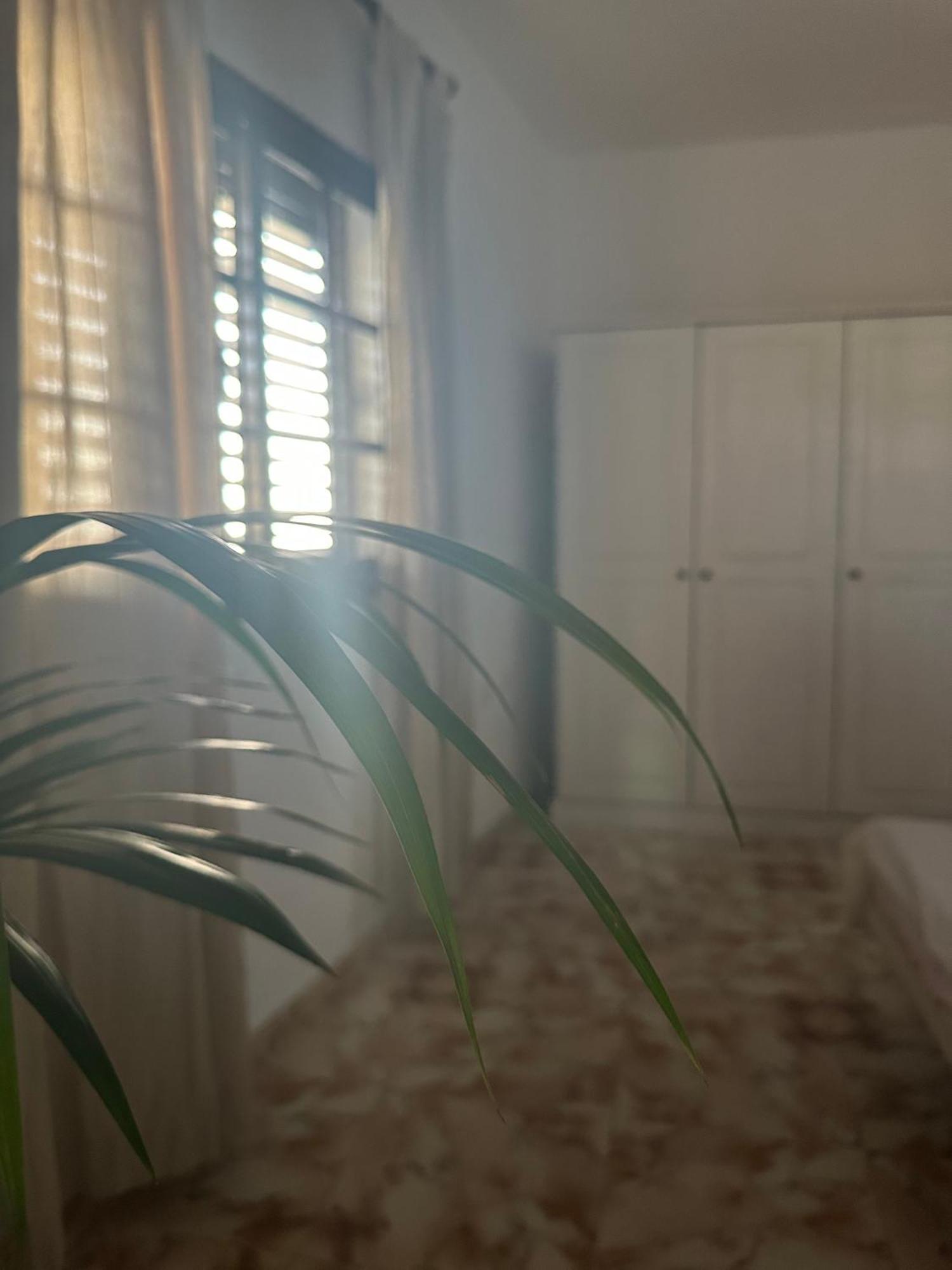 וייהרמוסו Apartamento Fortaleza מראה חיצוני תמונה