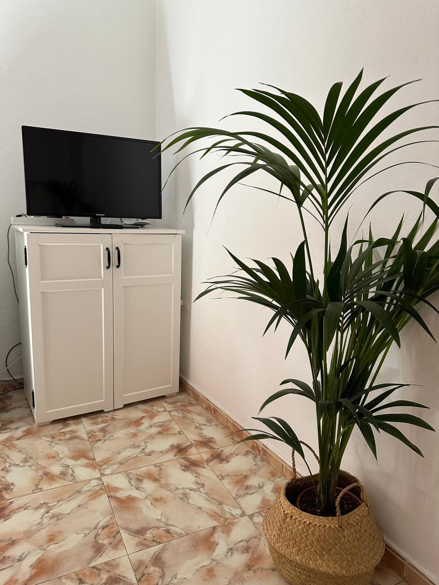 וייהרמוסו Apartamento Fortaleza מראה חיצוני תמונה