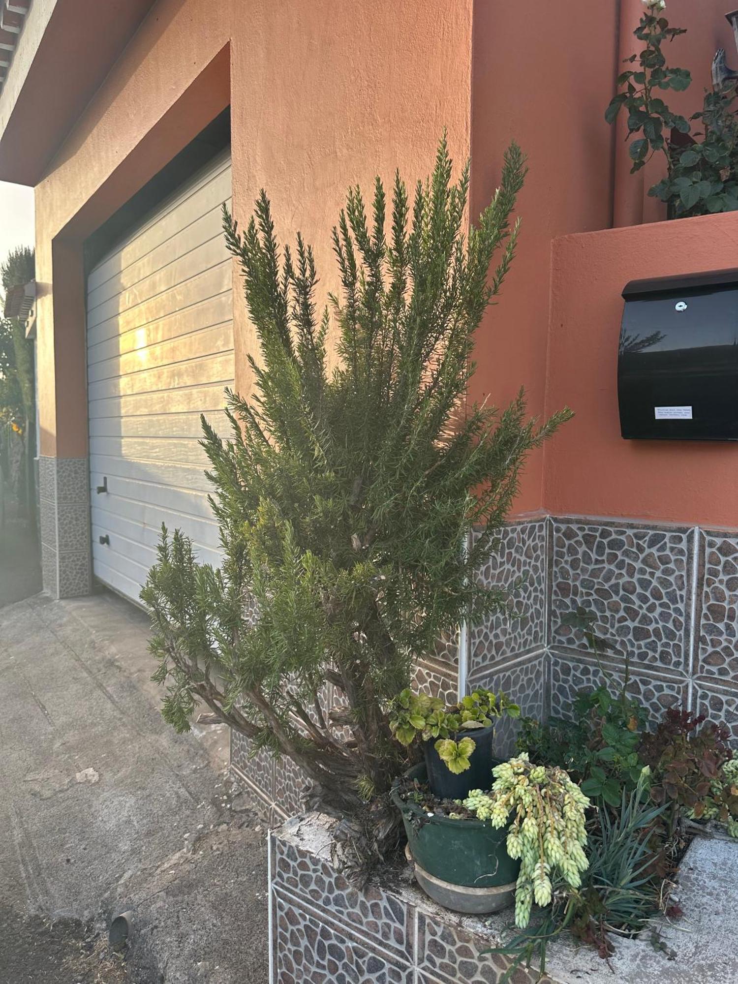 וייהרמוסו Apartamento Fortaleza מראה חיצוני תמונה